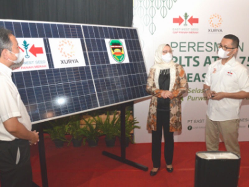 To Support Green Company Program, EWINDO Build Solar Panel Plant