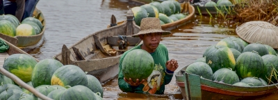 Menjangkau Seluruh Petani di Seluruh Indonesia