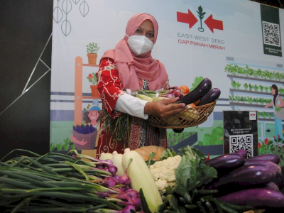 Pemuliaan Adalah Harapan: Kisah Nugraheni Vita Mendorong Inovasi di Tengah Pandemi 