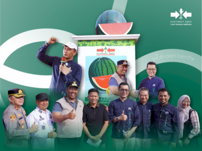 Semangka Lampung Terus Berkembang Bersama Inovasi Budidaya dan Semangat Petani