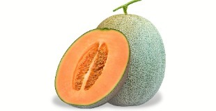 Orange Fleshy Melon