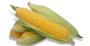 Sweet Corn